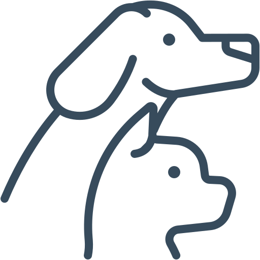 macotas, best partners, directorio gigital, directorio profesionales